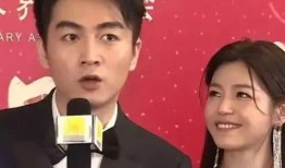 爆料陈晓离婚原视频,原视频揭秘婚姻破裂内幕